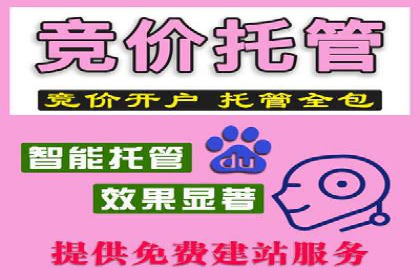 成功案例分享：SEM推广策略的制定与执行